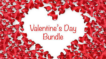 Valentine&#039;s Day Bundle