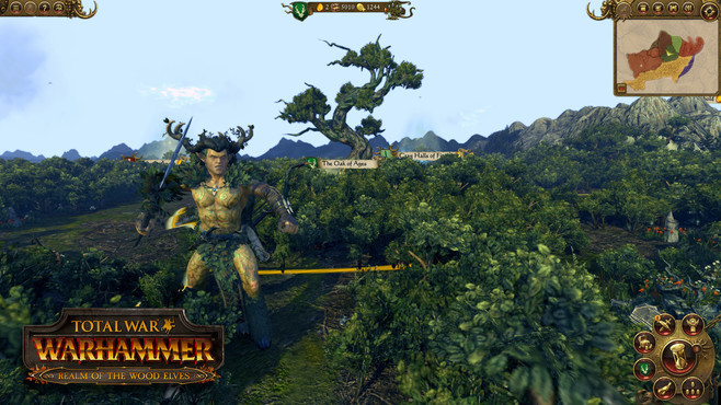 Total War™: WARHAMMER® - Realm of The Wood Elves Screenshot 6