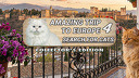 Amazing Trip to Europe 4: Search for Cats Collector's Edition