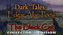 Dark Tales: Edgar Allan Poe's The Black Cat Collector's Edition
