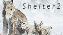 Shelter 2