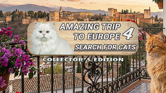Amazing Trip to Europe 4: Search for Cats Collector's Edition