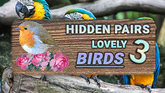 Hidden Pairs 3: Lovely Birds