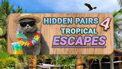 Hidden Pairs 4: Tropical Escapes
