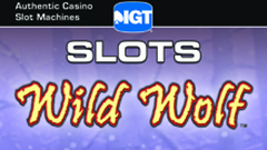 IGT Slots Wild Wolf