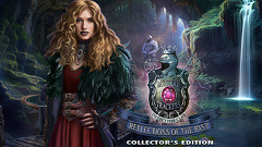 Mystery Trackers: Reflections of the Past Collector&#039;s Edition