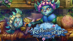 Reflections of Life: Sleep's Embrace