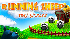 Running Sheep: Tiny Worlds