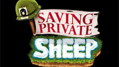 Saving Private Sheep