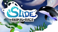 Slide - Animal Race