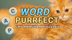 Word Purrfect: Cat Anagram Puzzles