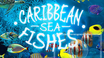 Caribbean Sea Fishes