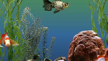 Goldfish Aquarium 2.0