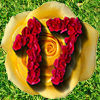 Clutter 17: Flower Power Collector&#039;s Edition