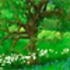 Enchanted Gardens