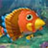 Fishdom Harvest Splash