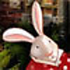 Flux Family Secrets 2: The Rabbit Hole Collector's Edition