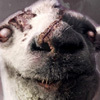 Goat Simulator: GoatZ