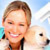 Pet Pals: New Leash On Life