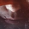 Phoenix Point: Complete Edition