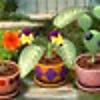 Plant Tycoon