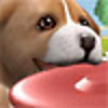Puppy Luv: A New Breed