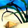 Shell Whirl
