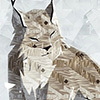Shelter Complete Edition