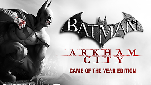 batman arkham city game of the year edition