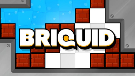 Briquid