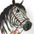 The Sims 3 Pets Icon