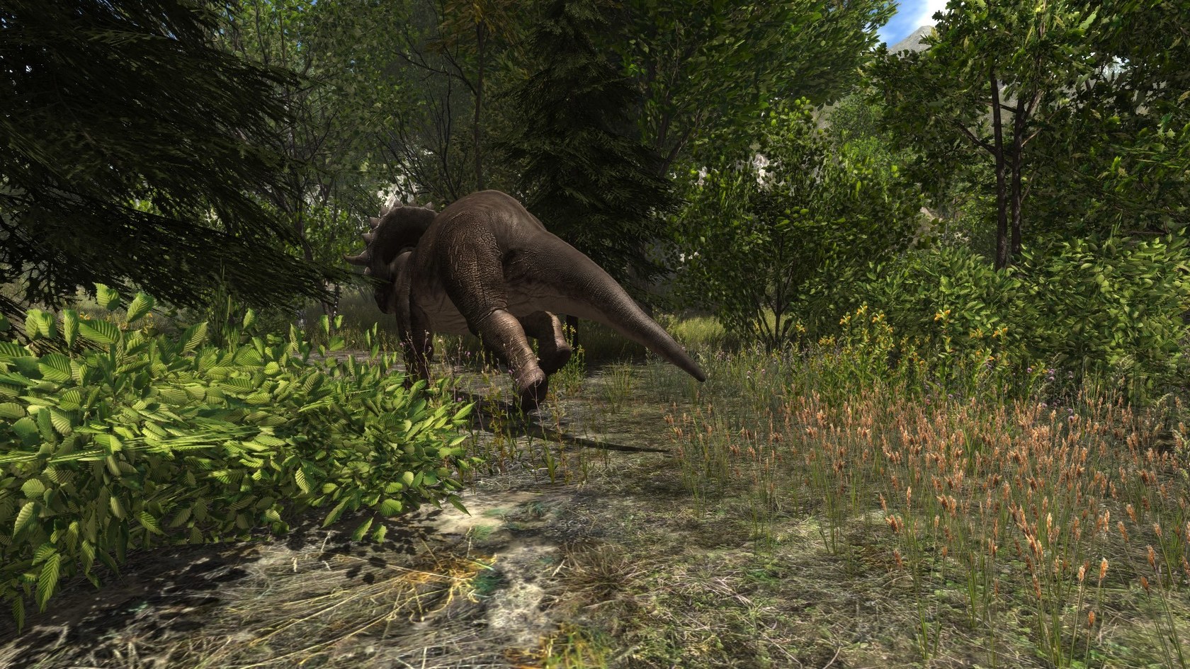 Dinosaur Forest Download For Mac Dinosaur Forest Download For Mac
