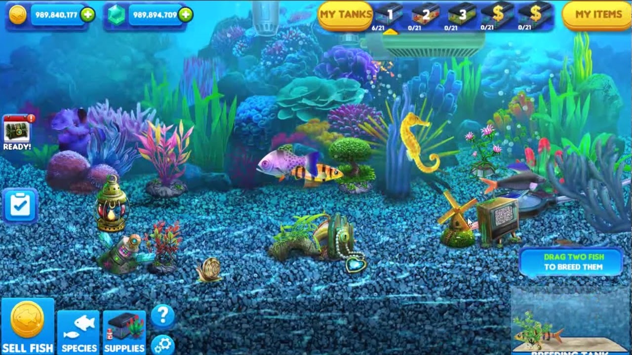 fish tycoon games