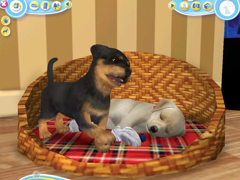 petz dogz 2 pc cheats