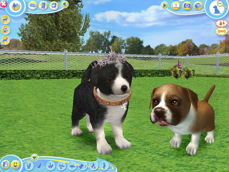 Petz 5 computer game Petz 5 computer game