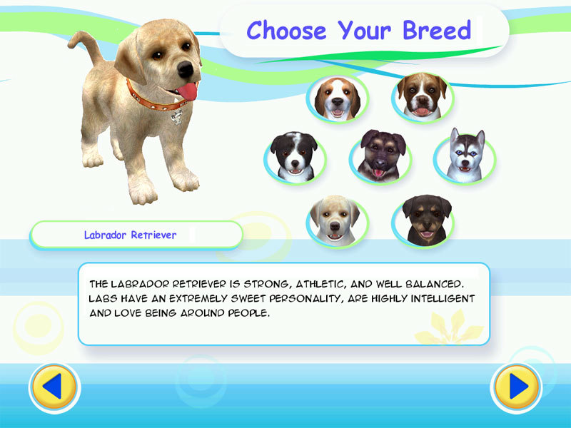 petz 5 breedz download petz 5 breedz download