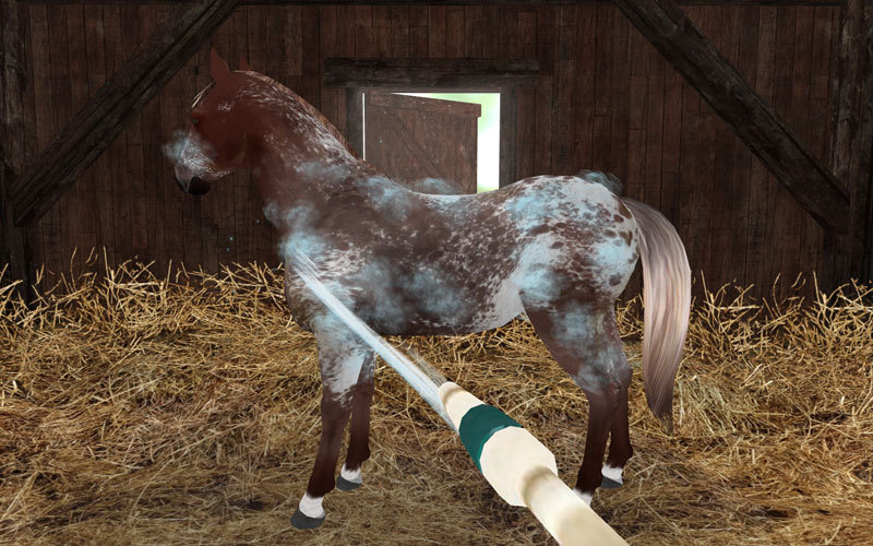 horse games for mac free horse games for mac free