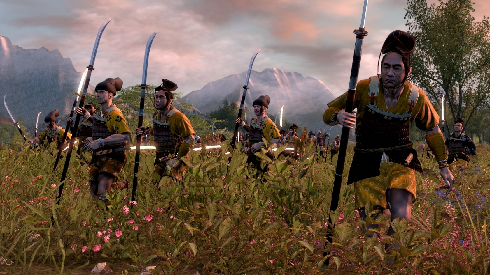 total war shogun 2 co op