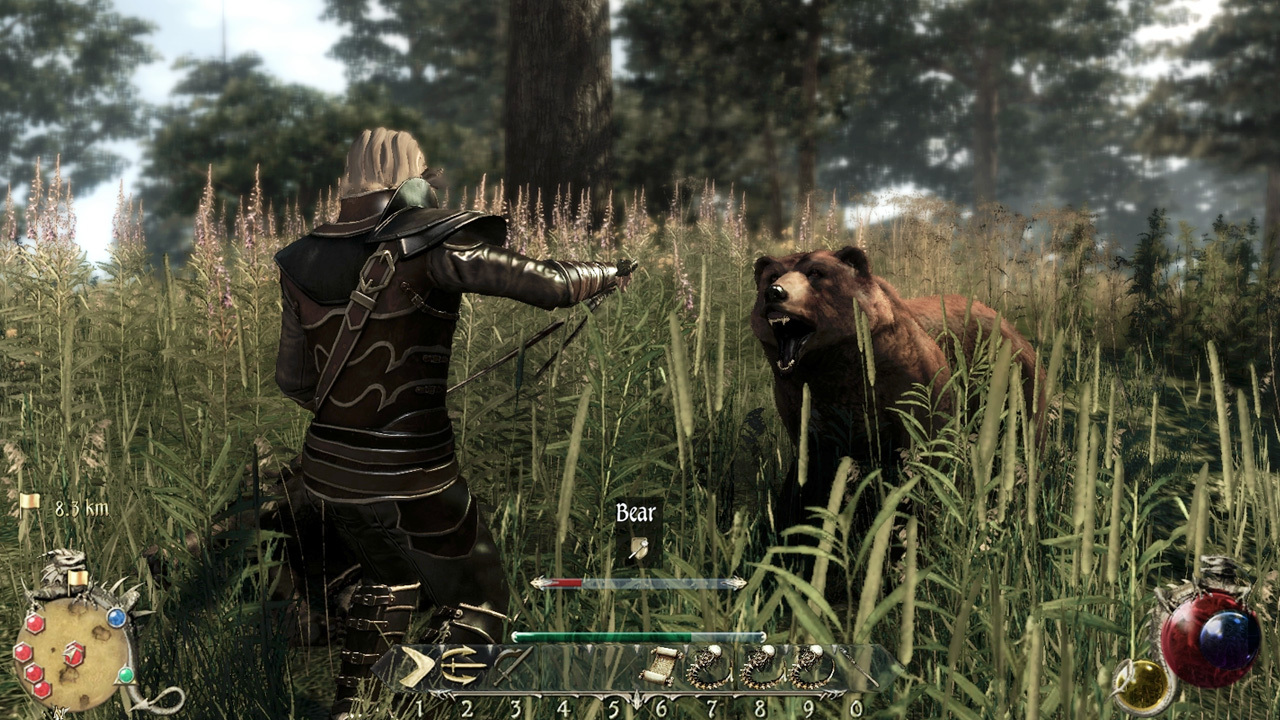 Two Worlds Ii Velvet Edition Macgamestore Com