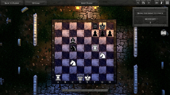 3D Chess Screenshot 6