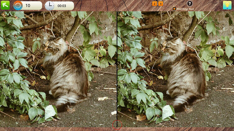 Amazing Trip to Europe 4: Search for Cats Collector's Edition Screenshot 2