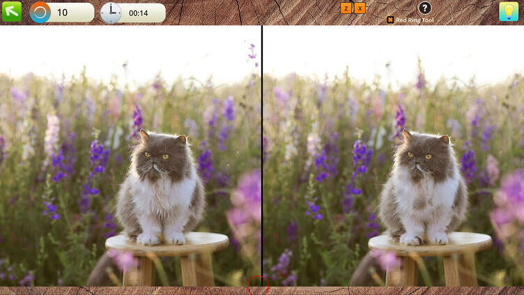 Amazing Trip to Europe 4: Search for Cats Collector's Edition Screenshot 3