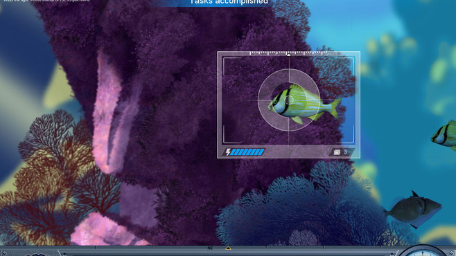 Caribbean Sea Fishes Screenshot 1