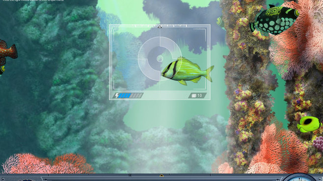 Caribbean Sea Fishes Screenshot 2