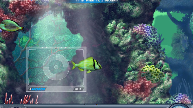 Caribbean Sea Fishes Screenshot 3