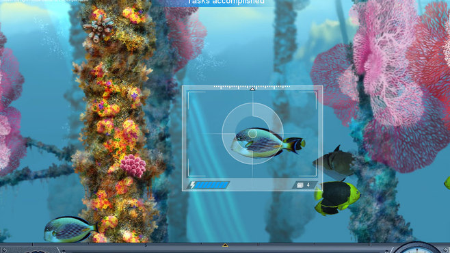Caribbean Sea Fishes Screenshot 7