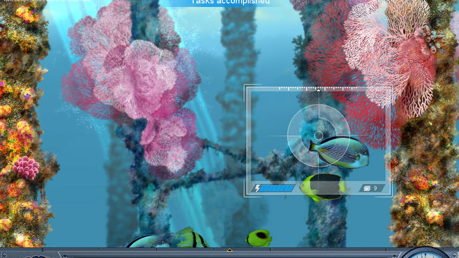 Caribbean Sea Fishes Screenshot 9