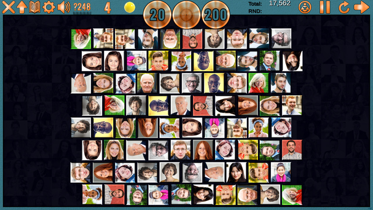 Clutter 17: Flower Power Screenshot 8