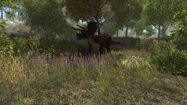Dinosaur Forest Screenshot 11