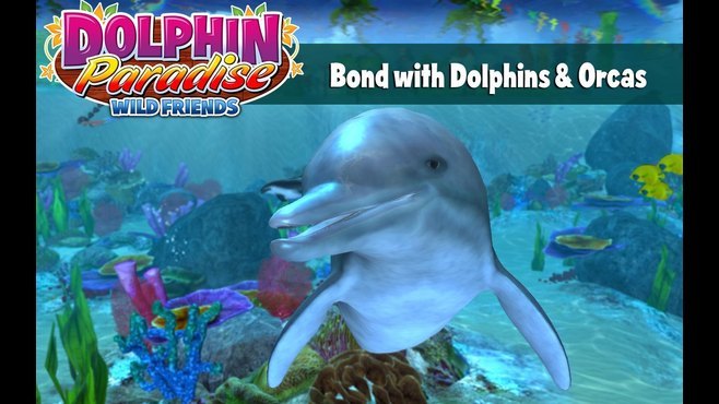 Dolphin Paradise: Wild Friends Screenshot 2